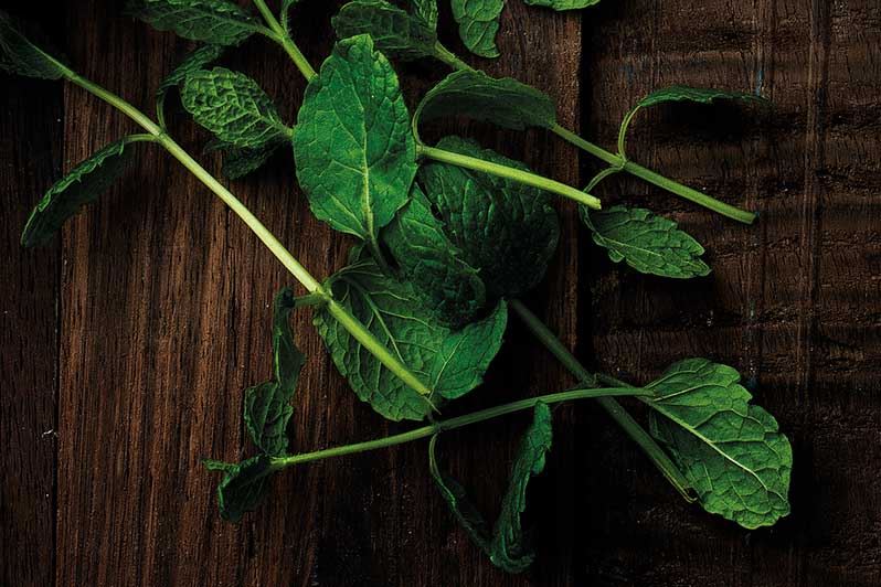 Fresh mint on a wooden board