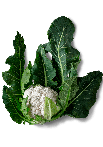 Cauliflower